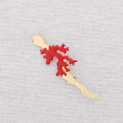 Coral