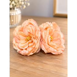 Rosa Madrid x2