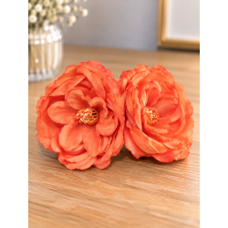 Rosa Madrid x2